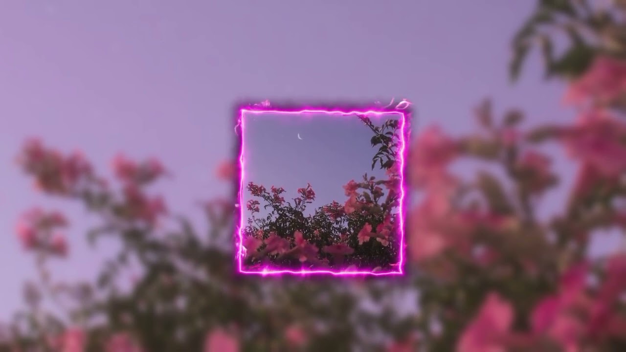 hasta la raíz -natalia lafourcade (slowed)