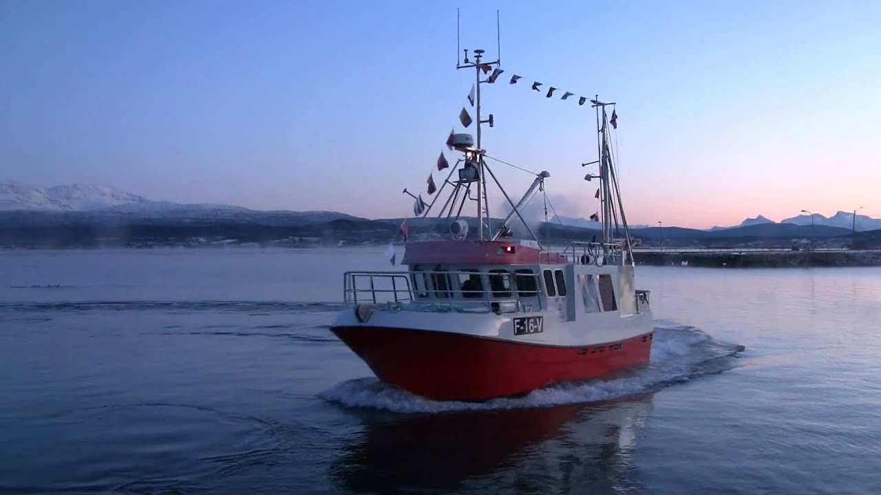 Selfa 35 Kystsjark BNR 238 