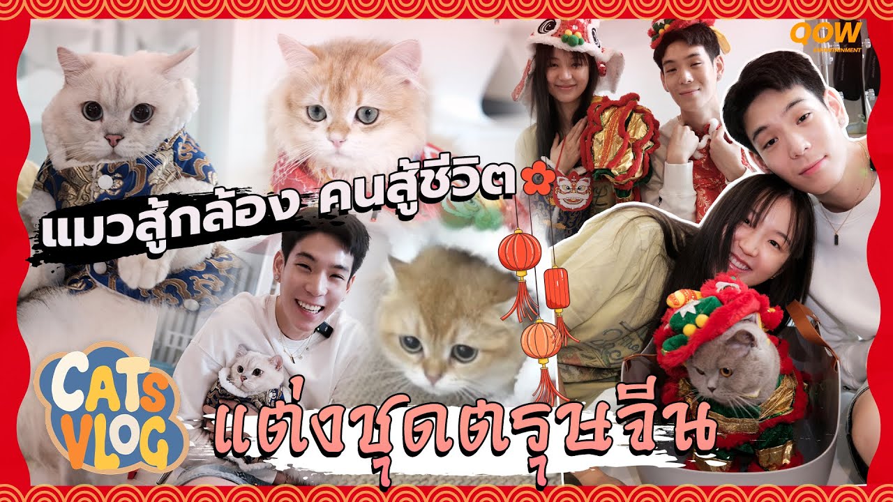 แมวสู้กล้อง คนสู้ชีวิต! จับแมวแต่งตัวรับตรุษจีน | Cats Vlog EP5
