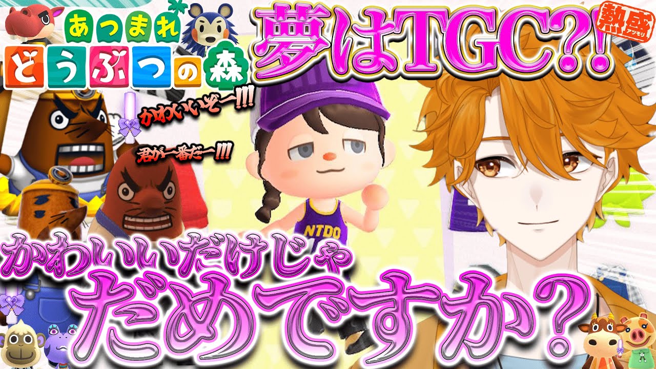 【あつまれどうぶつの森】本日ファッションショーが開催されるそうです！【レンジ・みんなの心のビタミン】