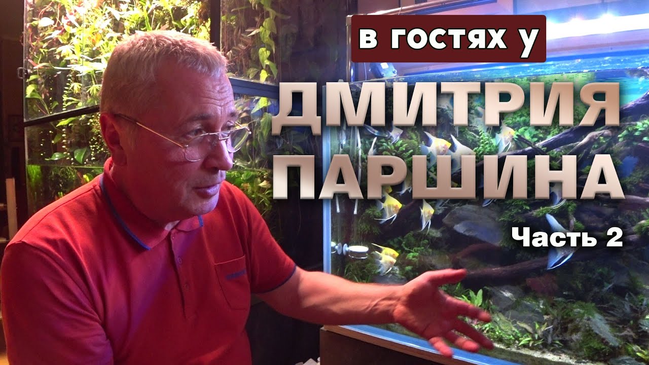В гостях у Дмитрия Паршина. Часть 2. Красивый Аквариум скейп Дмитрия.