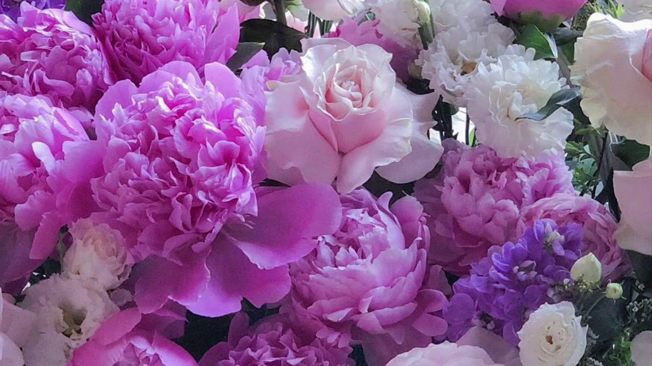 سورة النساء من الاية (34). إلى(37) مكررة سبع مرات ؛ لتثبيت الحفظ#الشيخ_ماهر_المعيقلي