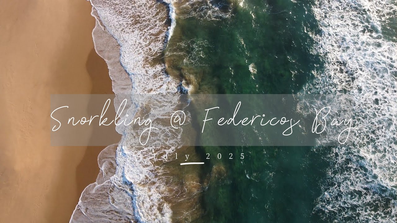 An Epic Snorkeling Adventure at Federicos Bay, Aloha Beach Estate, Ponta Malongane, Mozambique