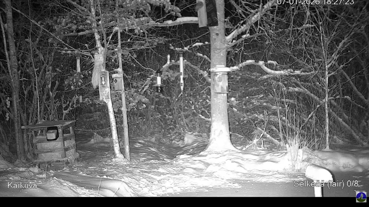 Lehtopöllö - Tawny Owl check the home box