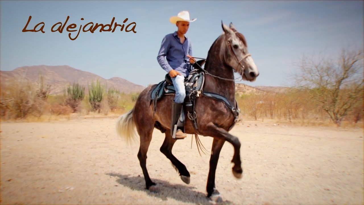 Zapateando La Alejandr&iacute;a en Zicuir&aacute;n (2023) - Conjunto LINDERO