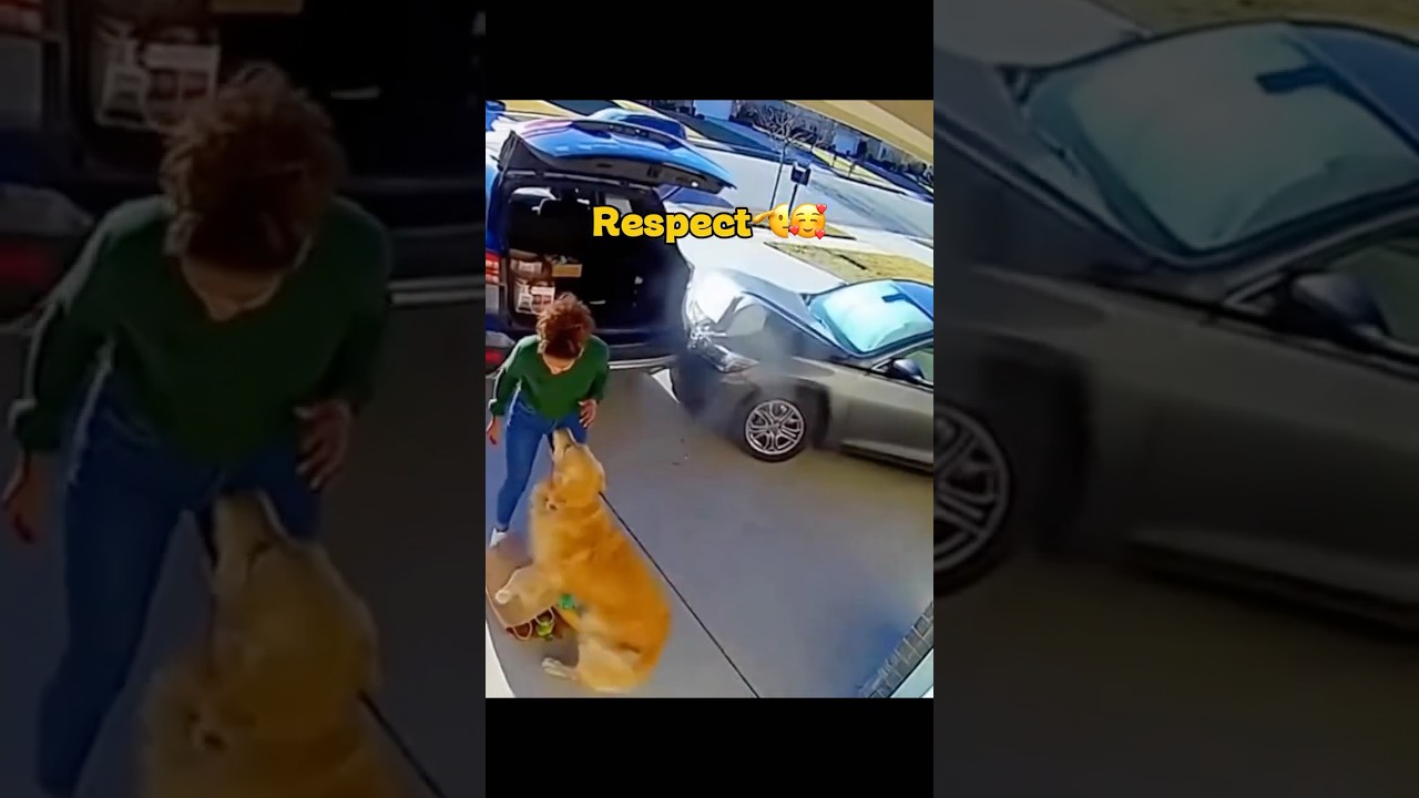 Sensing the Unseen: A Guardian&rsquo;s Warning🛡️🫡❤️