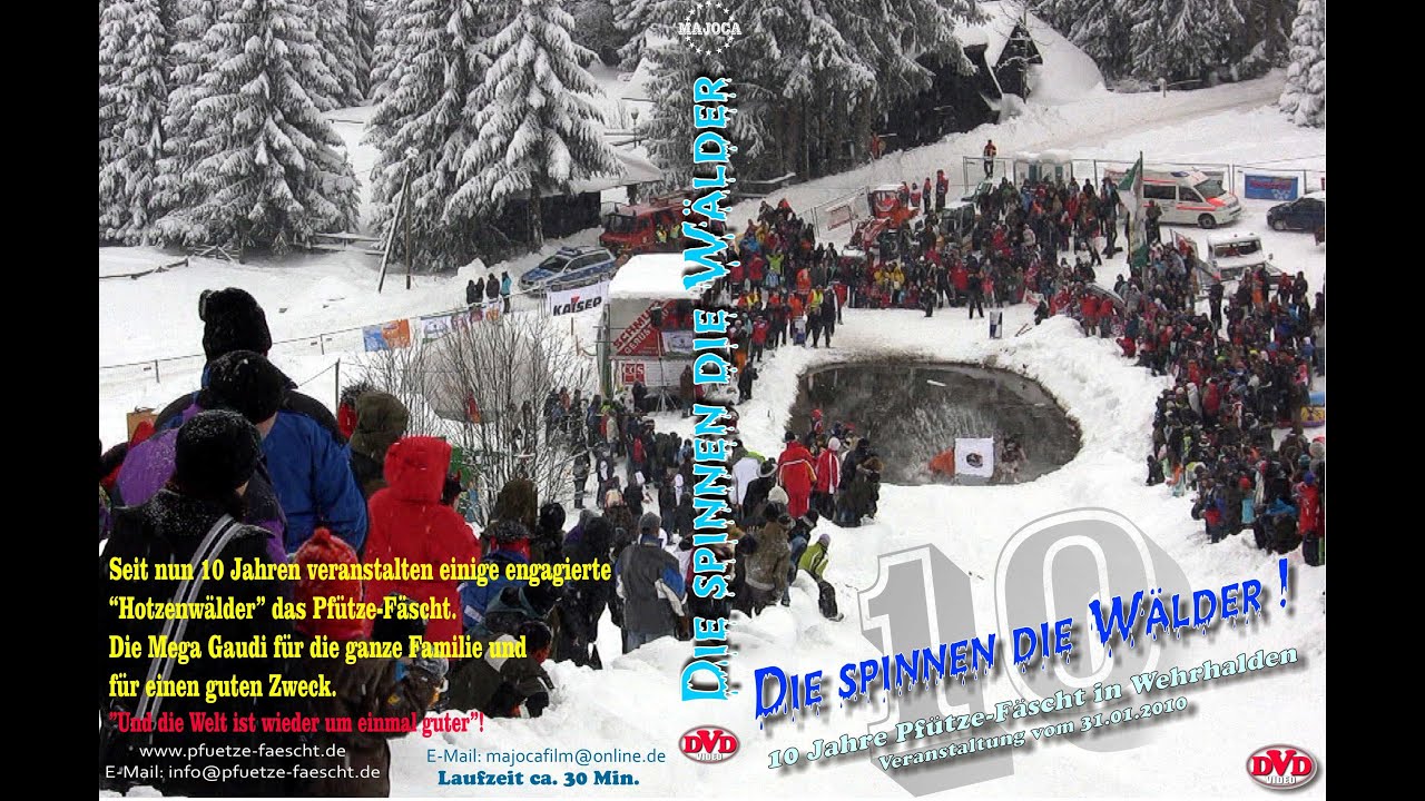 DIE SPINNEN DIE WÄLDER