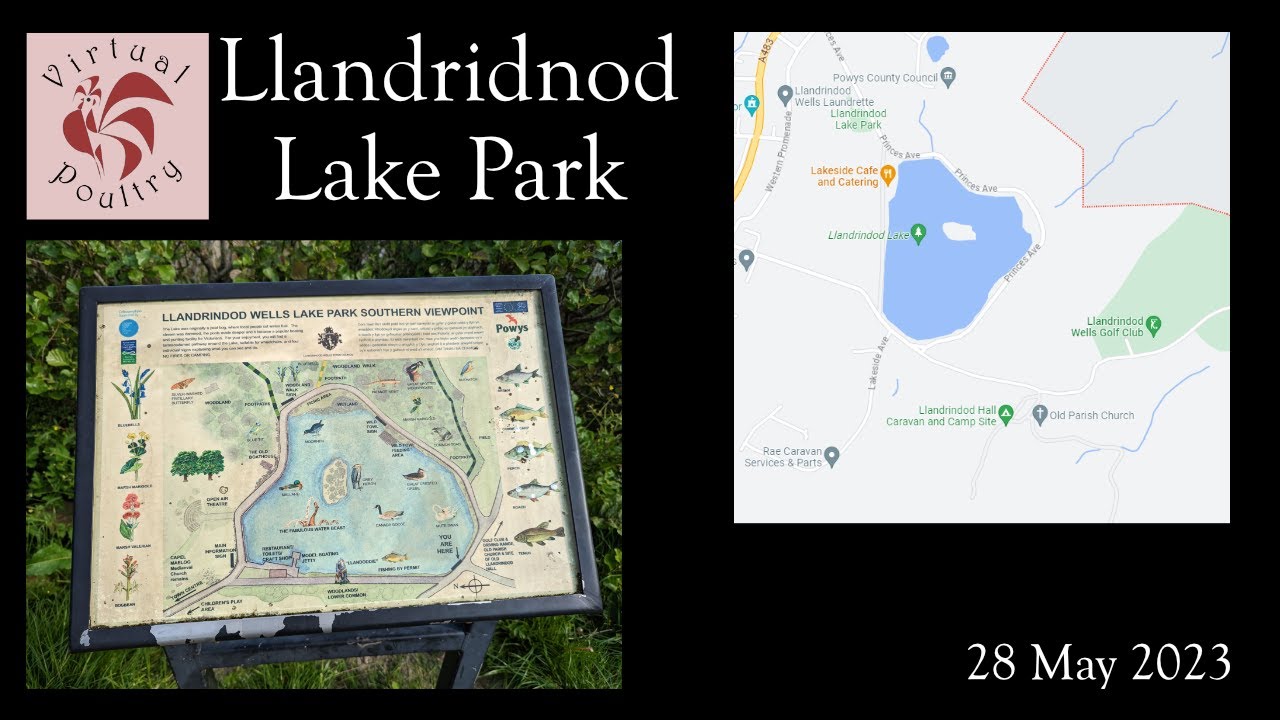 Llandrindod Wells Lake Park May 2023