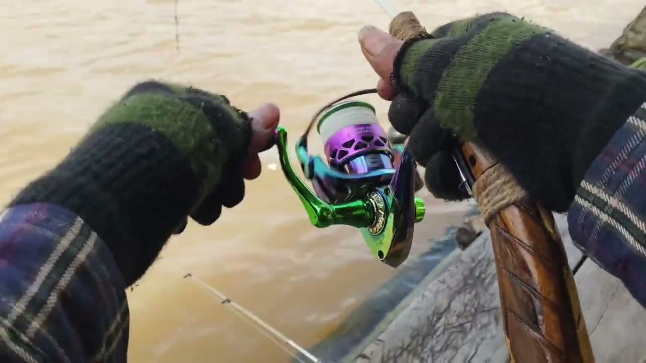 Menjerit reel saya...Rejeki tak terduga di saat mancing udang galah