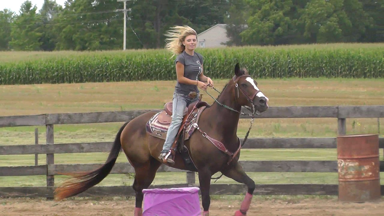 Without me - Barrel racing