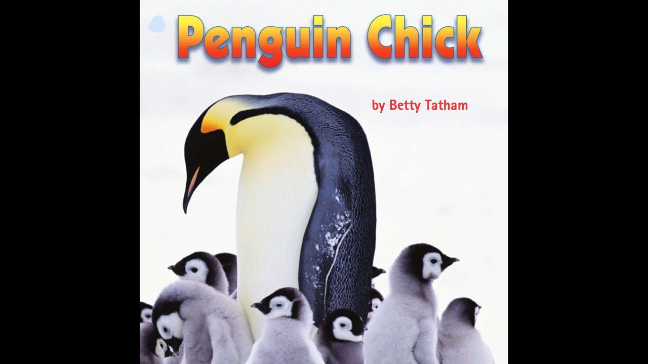 PENGUIN CHICK Journeys AR Read Aloud Second Grade Lesson 21