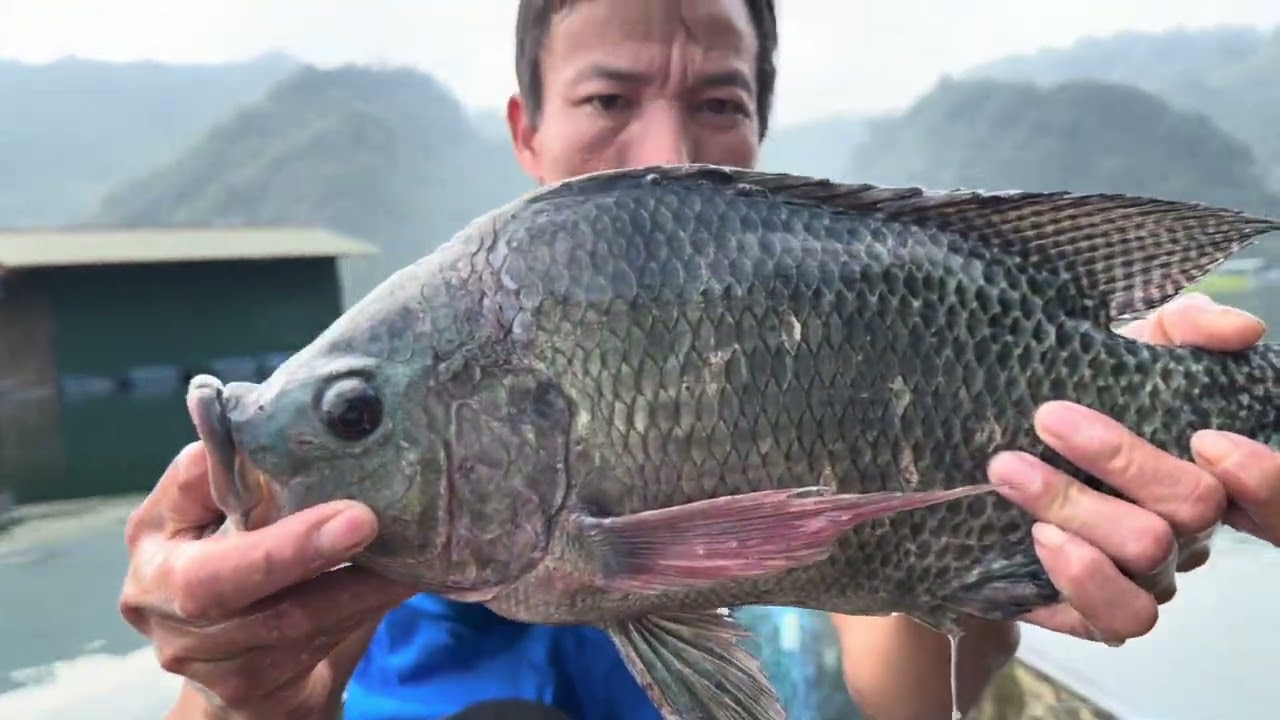 Hai Anh em đi thăm lưới    Báo cá rô khủng ￼￼