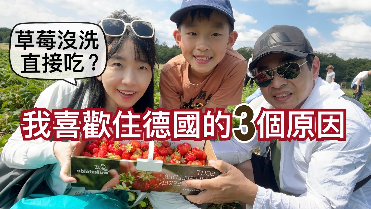 跟我們一起去採草莓｜我喜歡住在德國的3個理由｜德國水果現採現吃都不用洗？不怕吃到農藥嗎｜做草莓果醬｜弟弟種的番茄開花了🌼