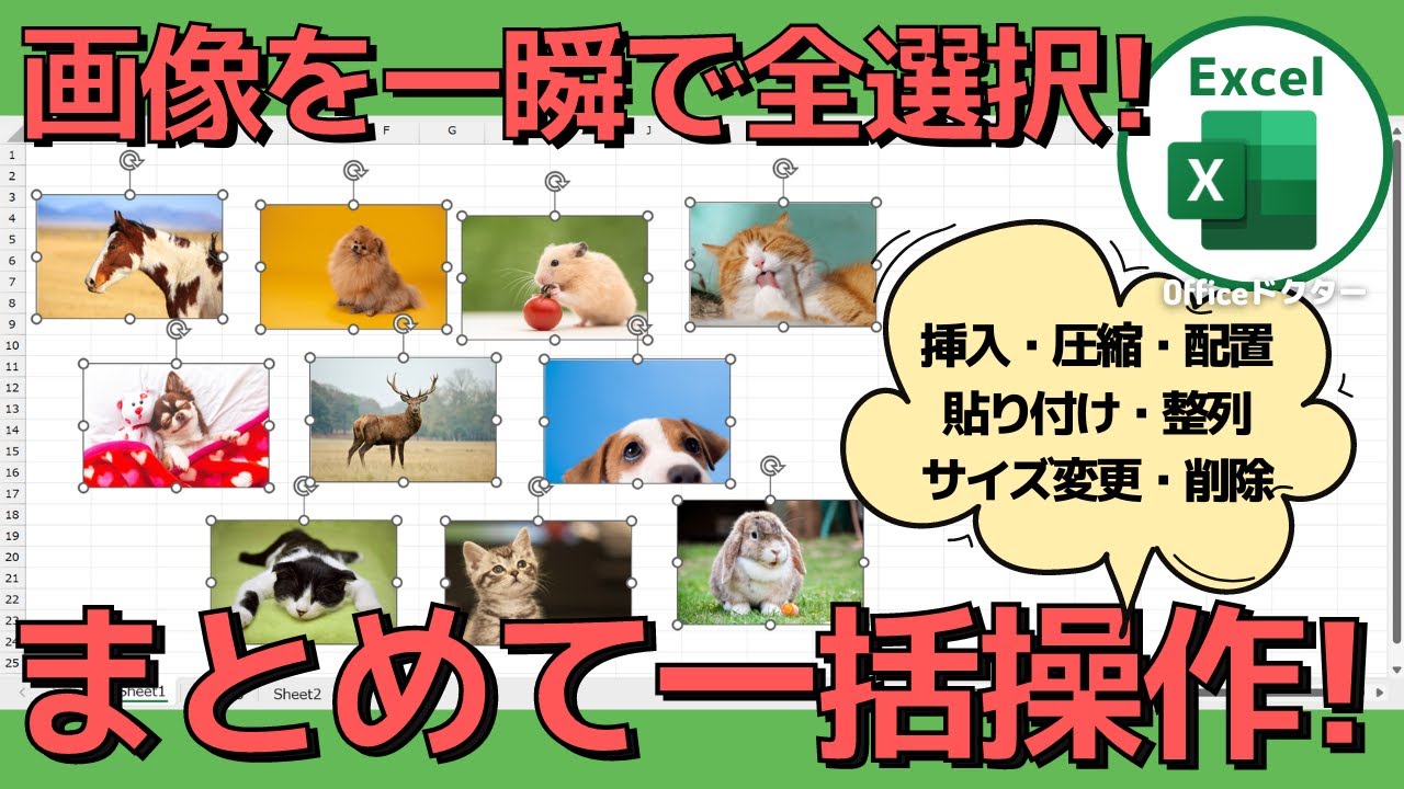 エクセルで画像を一括選択して効率的に操作する方法を解説【Excel】