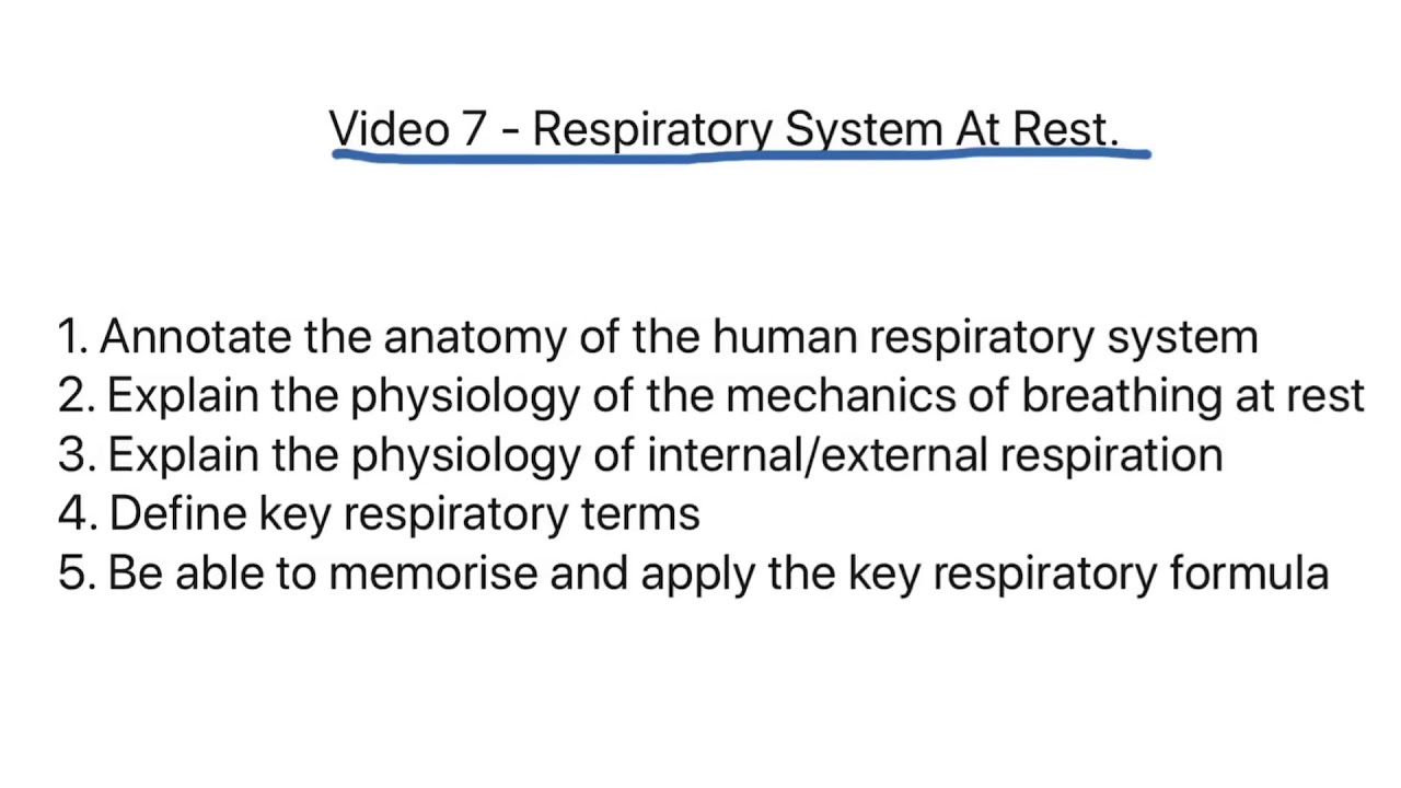 OCR A Level PE - Respiratory System At Rest