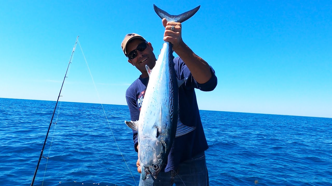 Comparing Bonito and Blackfin Sushi Style!