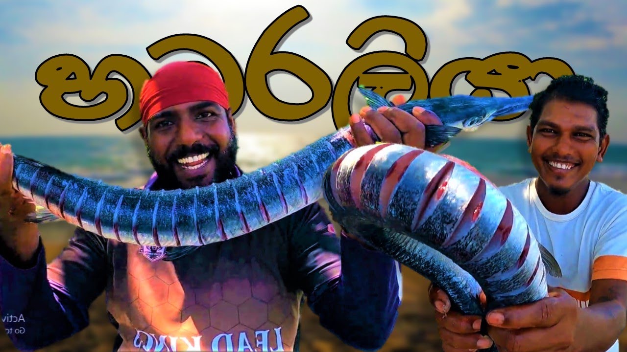 හබරලියා ‼ HABARALIYA ‼ Garfish BBQ ‼ @wishwatiyubaya 🙄👣😲