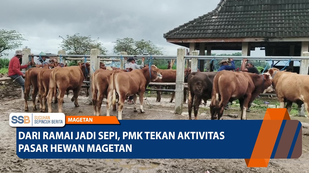 MAGETAN - Dari Ramai Jadi Sepi, PMK Tekan Aktivitas Pasar Hewan Magetan