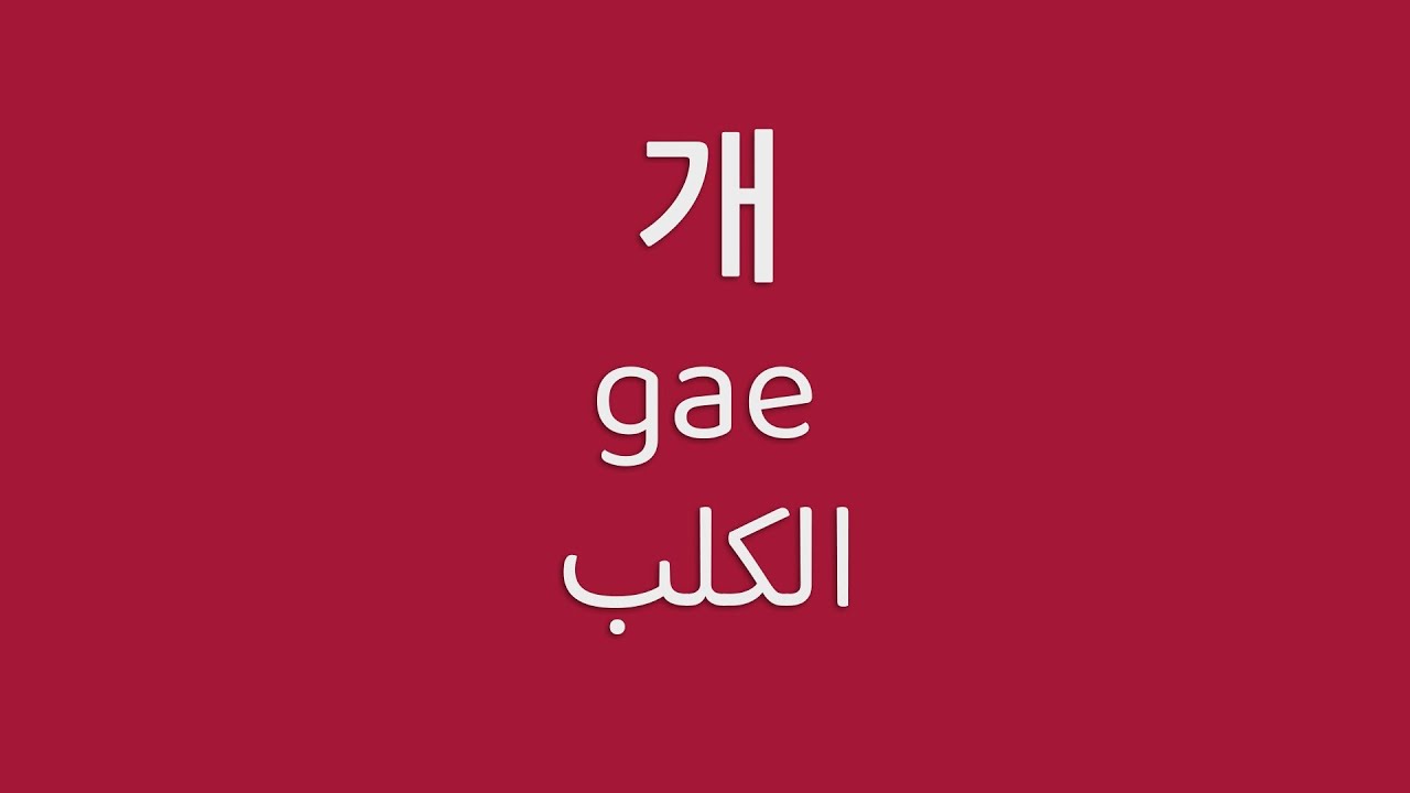 تعلم أسماء الحيوانات باللغة الكورية