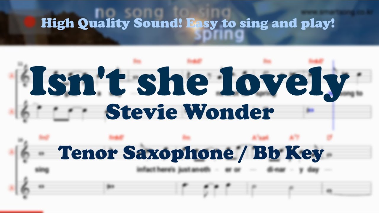 Isn't she lovely - Stevie Wonder (Tenor/Soprano Saxophone Sheet Music Bb Key / Karaoke / Easy Solo)
