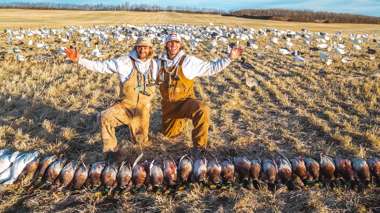 Duck Hunting Alberta Canada!