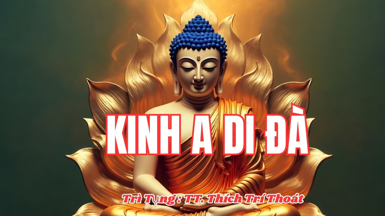 Kinh A Di Đà – Giọng Tụng Trang Nghiêm | Thầy Thích Trí Thoát | An Lạc – Tịnh Tâm – Hướng Về Cực Lạc