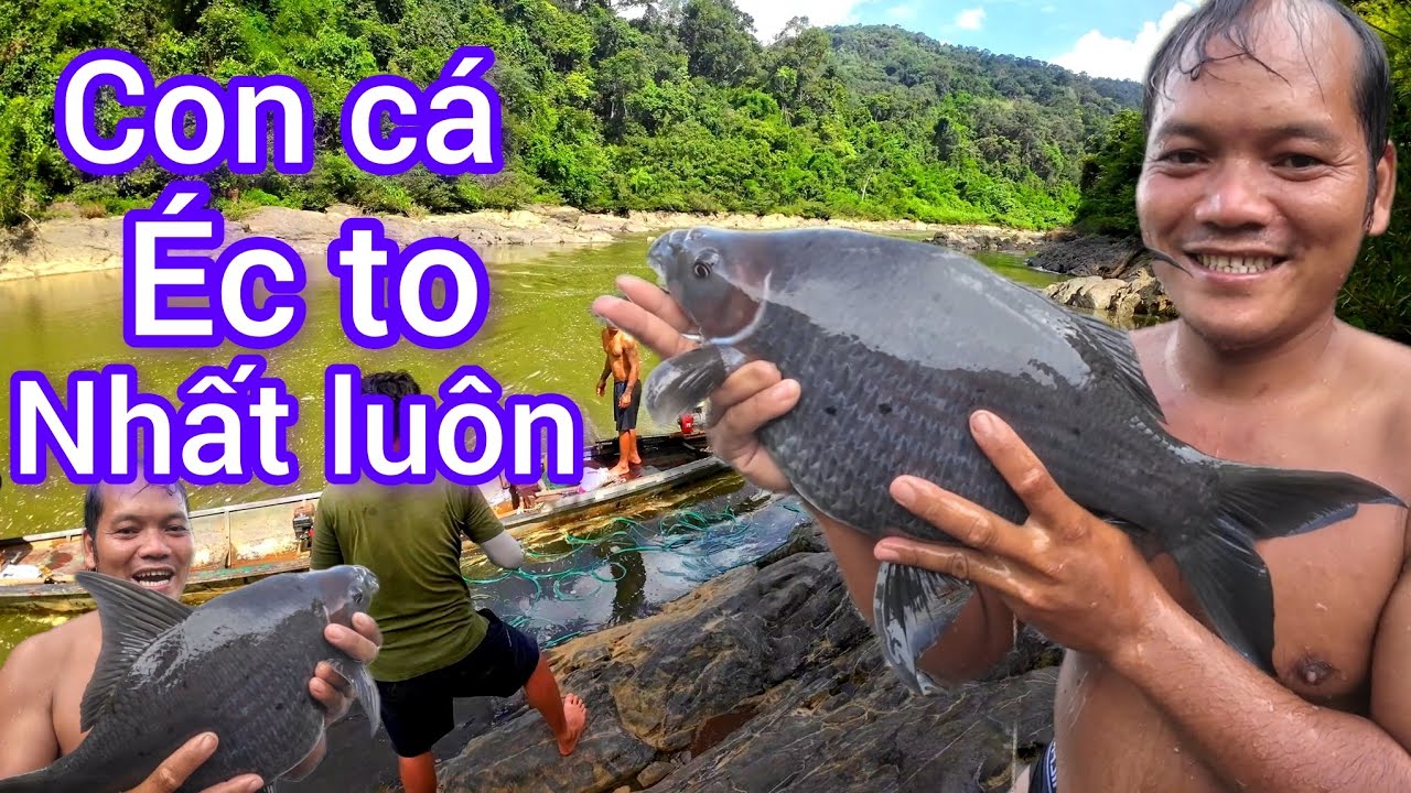 Mùa mưa xuống sông bắt cá lên để trưng trúng ổ #xuânvlogs #XUÂNVLOGS
