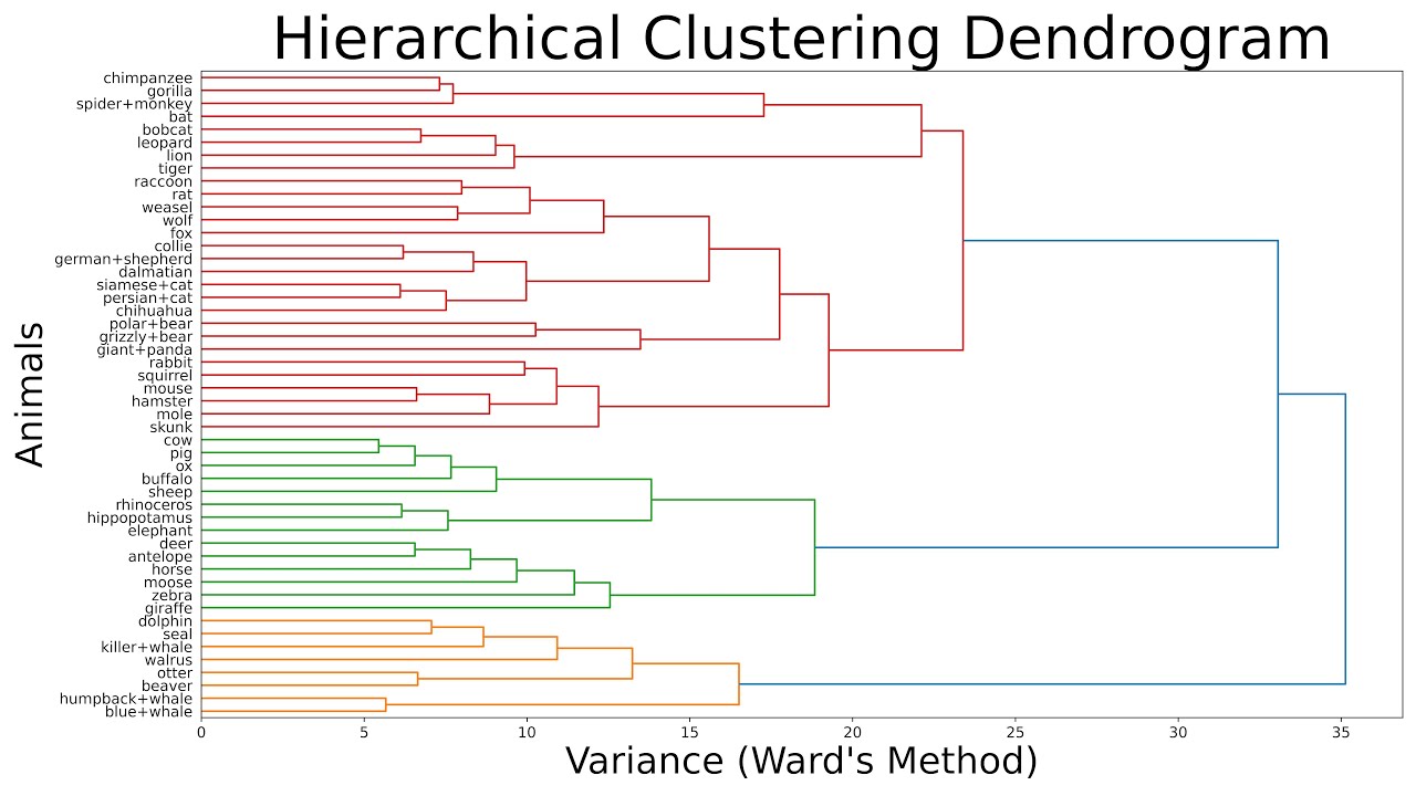 Hierarchical Clustering using Python