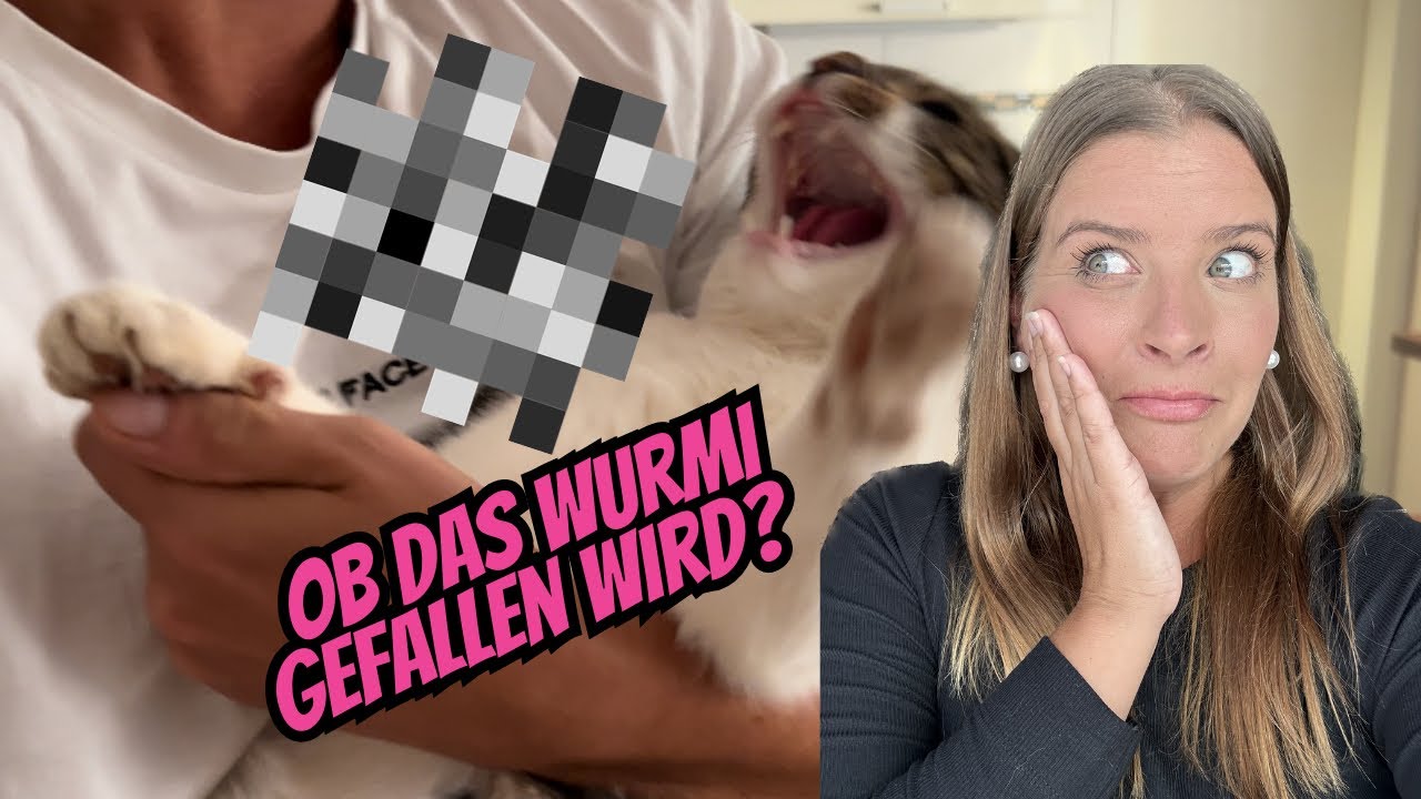 OHA, damit hab ich nicht gerechnet 😳 | Diese eine Katze