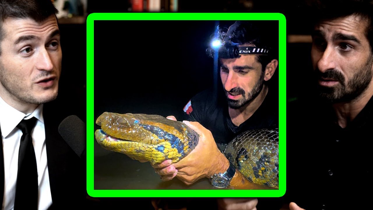 Paul Rosolie catches giant Anaconda | Lex Fridman Podcast Clips