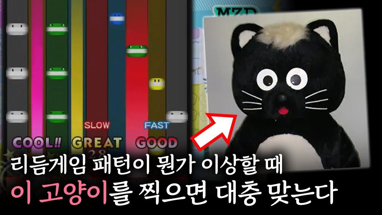 이번 이야기도 이 고양이에게서부터 시작한다