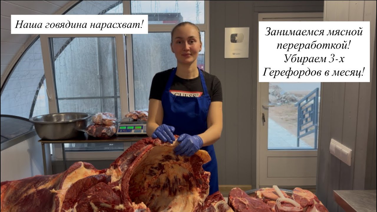 Развиваем мясное направление на мясо-молочной ферме! Сравниваем молочных и мясных бычков на откорме!