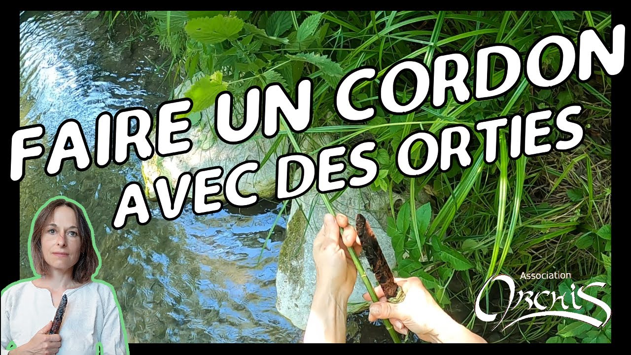 Faire un cordon avec des orties