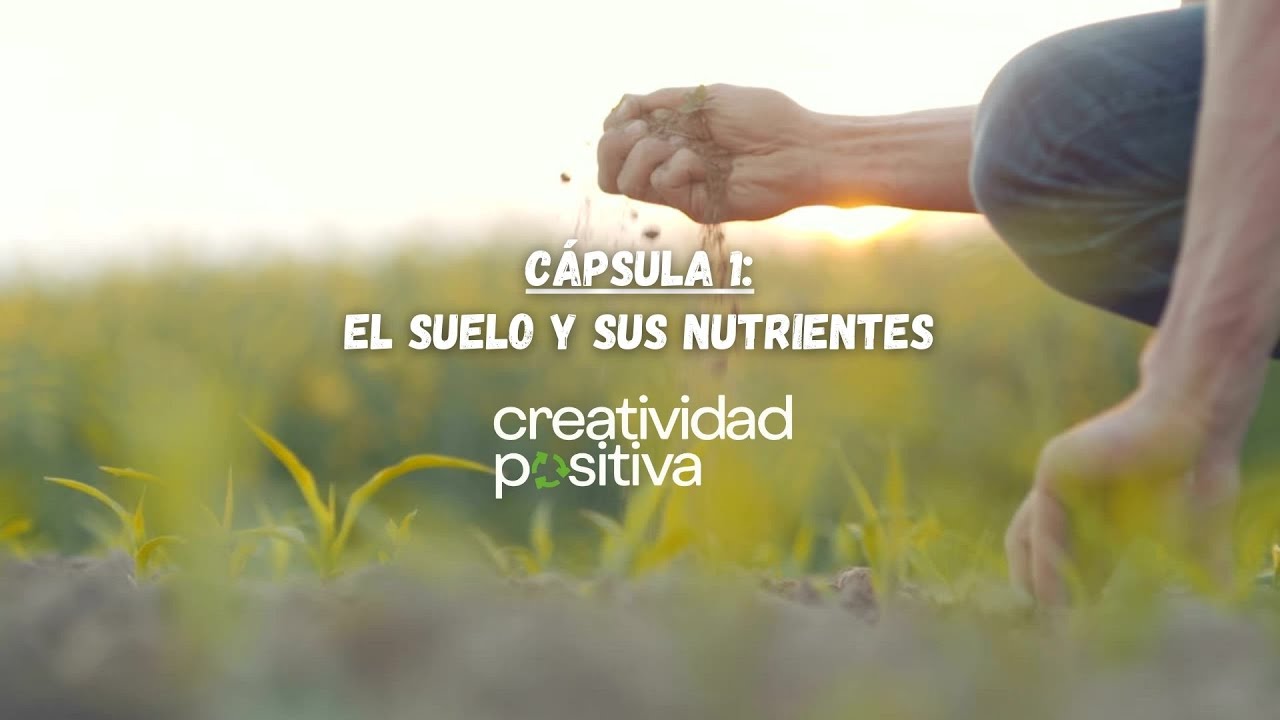 El suelo y sus nutrientes 🌱  - C&aacute;psula 1