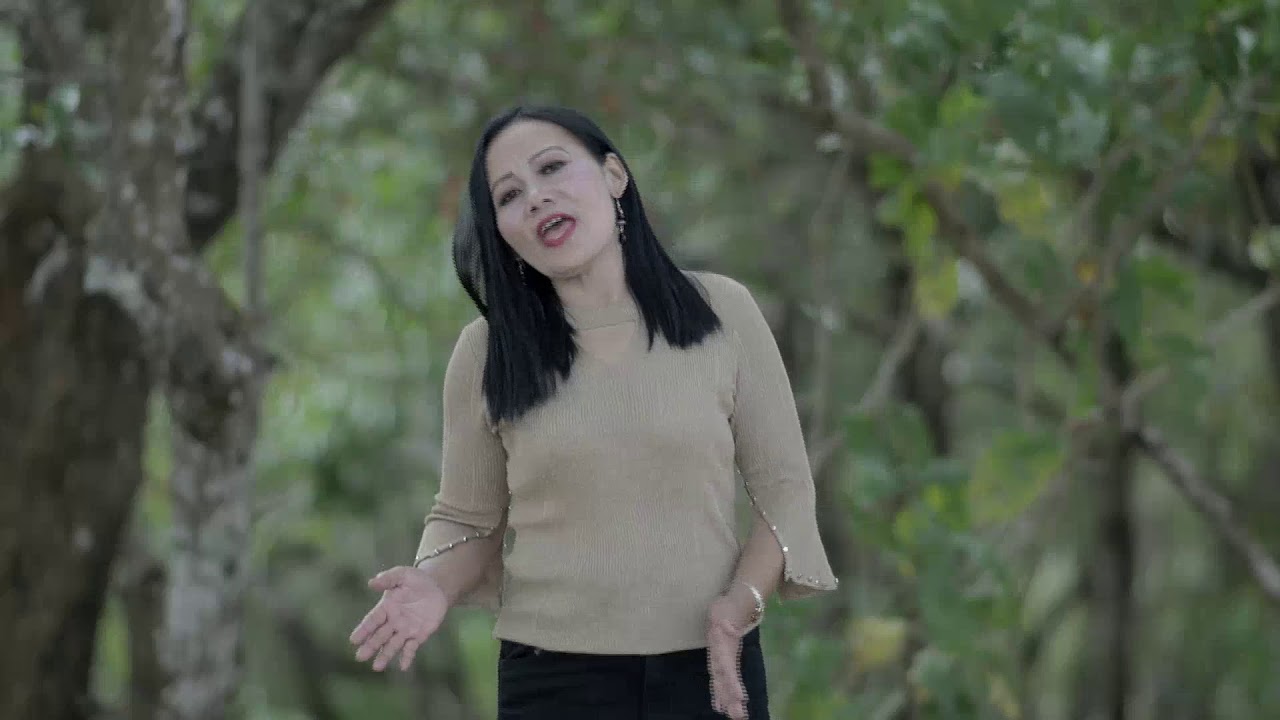 Ngengpuii Tochhawng- Thilthlawn pek nguntakin chhiar theuh la (Official video)