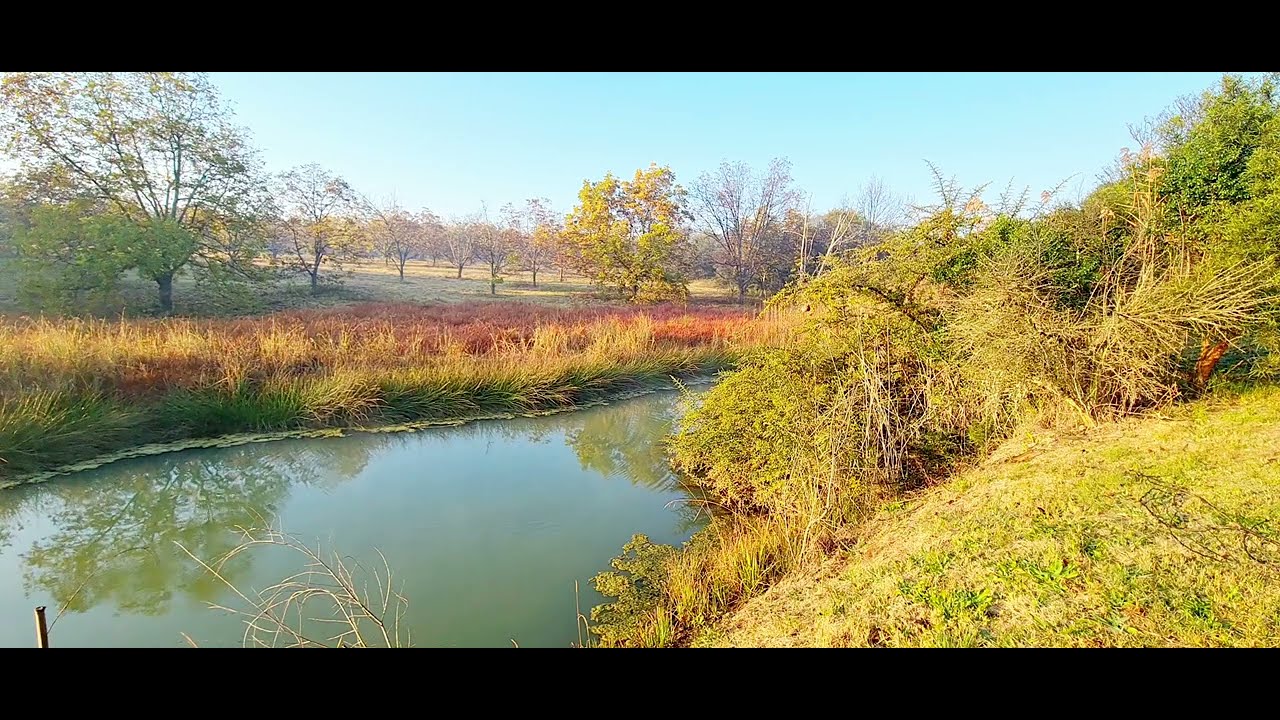 Nature playlist: Early morning, Next to dam / water / lake nature sounds, Peaceful @showusoutdoors 