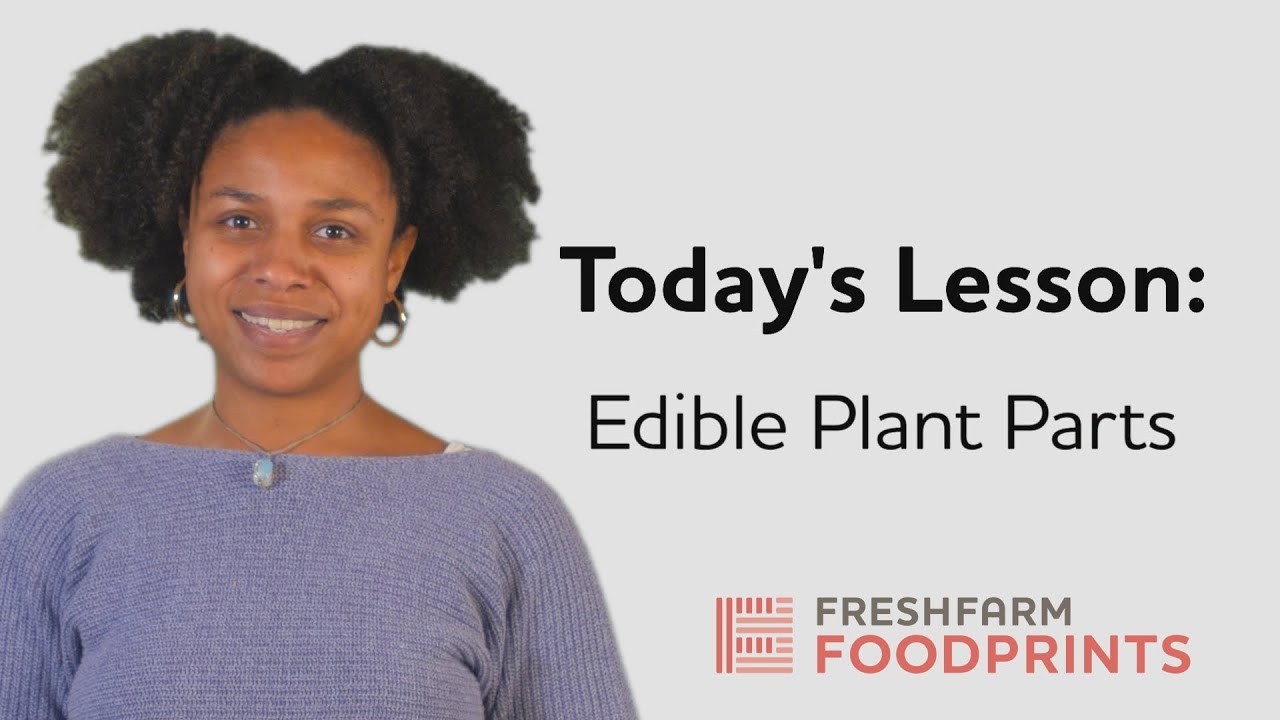 Edible Plant Parts | FRESHFARM FoodPrints
