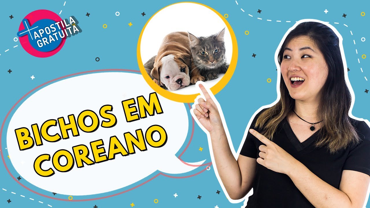 Bichos em Coreano - Parte 1 (Animais de estimação) | Aula com a Professora Aileen