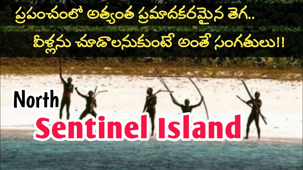 Most isolated tribe in the world || North sentinel Island in telugu || Sentinelese tribe