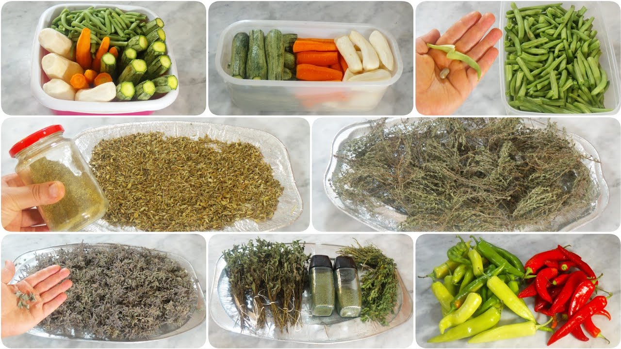 عولة المجمد💰تخزين الخضرة😘اللفت🍠الكوسة🥒الجزر🥕اللوبياء ماشطو😍تجفيف الأعشاب🥬النعناع🍵التيزانات🫖التوابل🌶️
