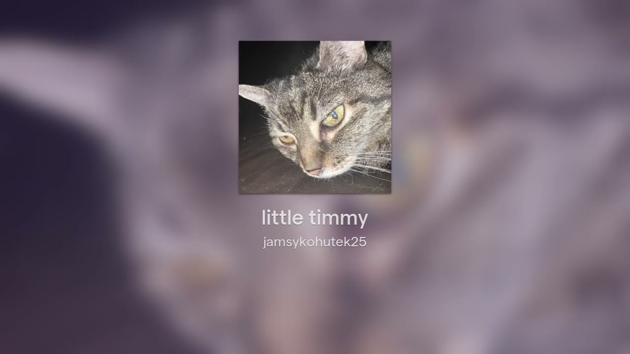 little timmy