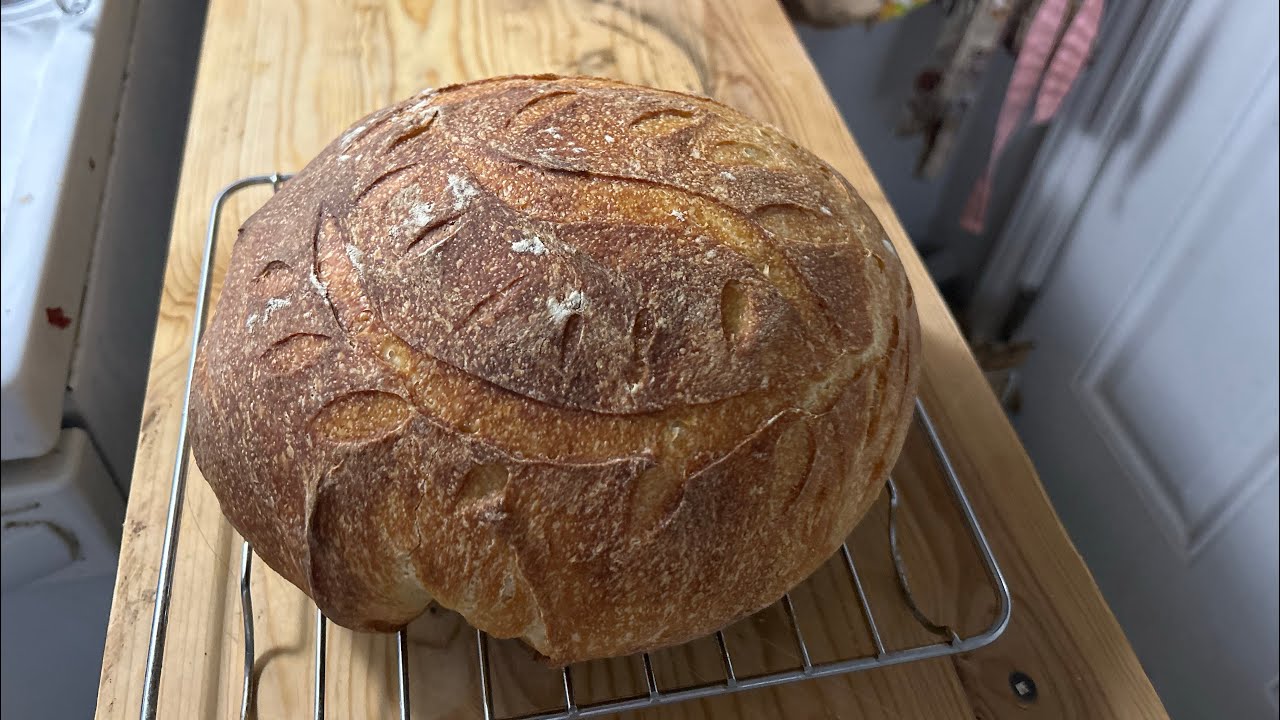 I think I FAILED my First Sourdough loaf!!! 