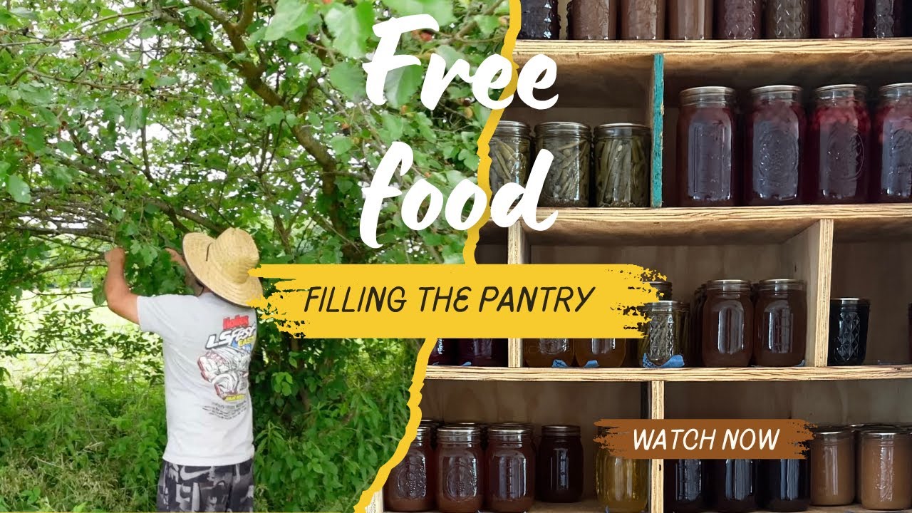 How to Preserve FREE FOOD