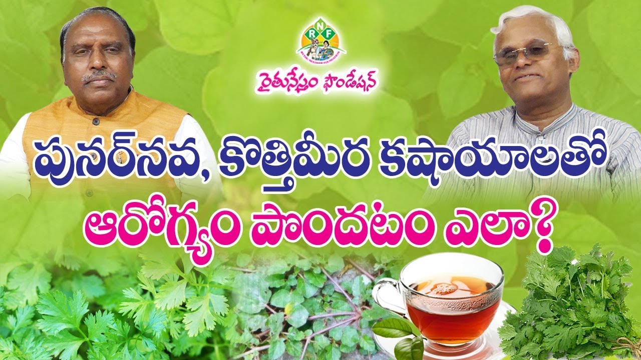 Punarnava, Coriander(Kothimeera) Leaves Kashayalu - Health Benefits || Khader Valli || Rythunestham