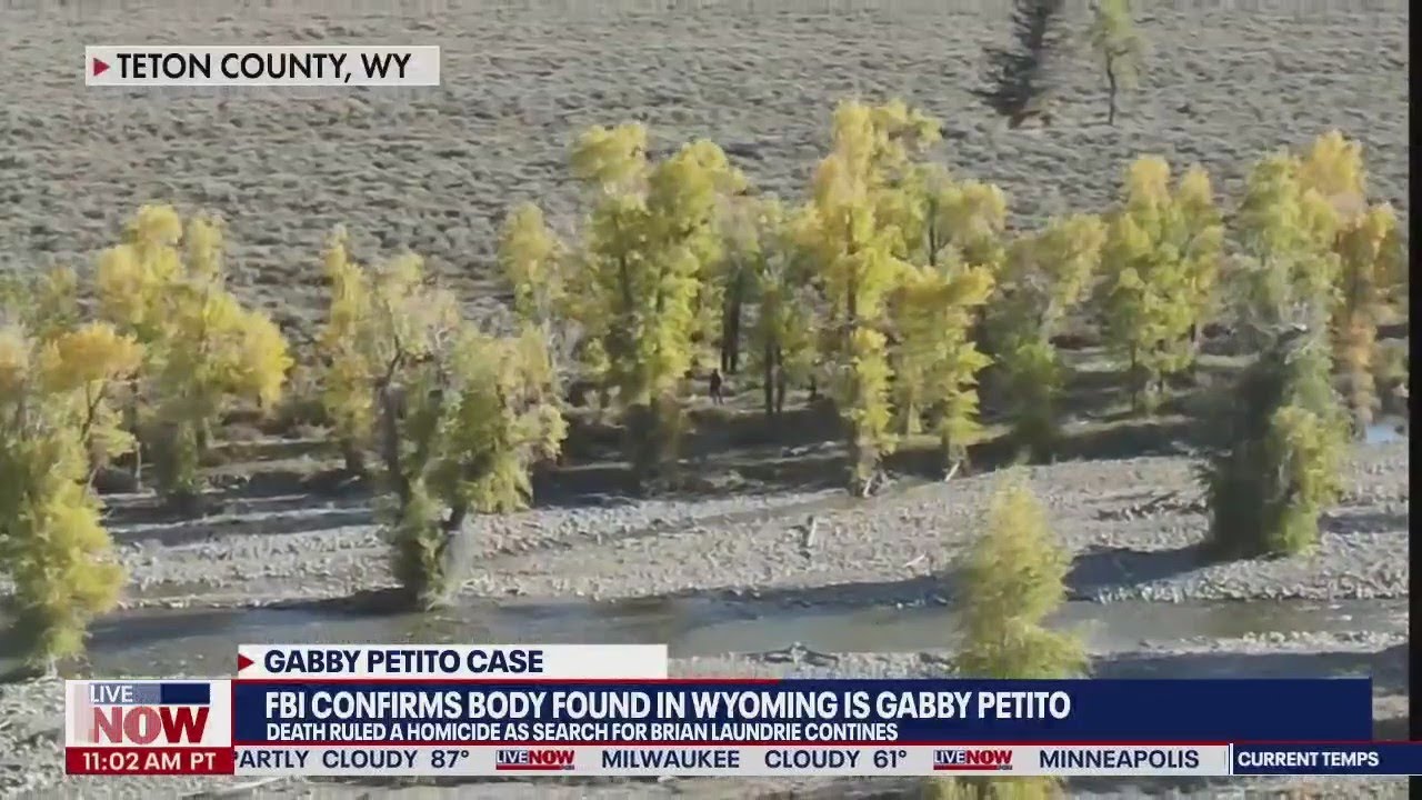 Gabby Petito: Drone video shows area where remains were found | LiveNOW from FOX