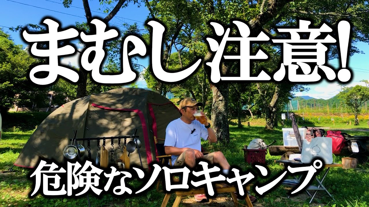 【千本高原キャンプ場】まむし注意‼噛まれるとヤバい危険なソロキャンプ△四国愛媛県久万高原町△ogawaステイシーST-2