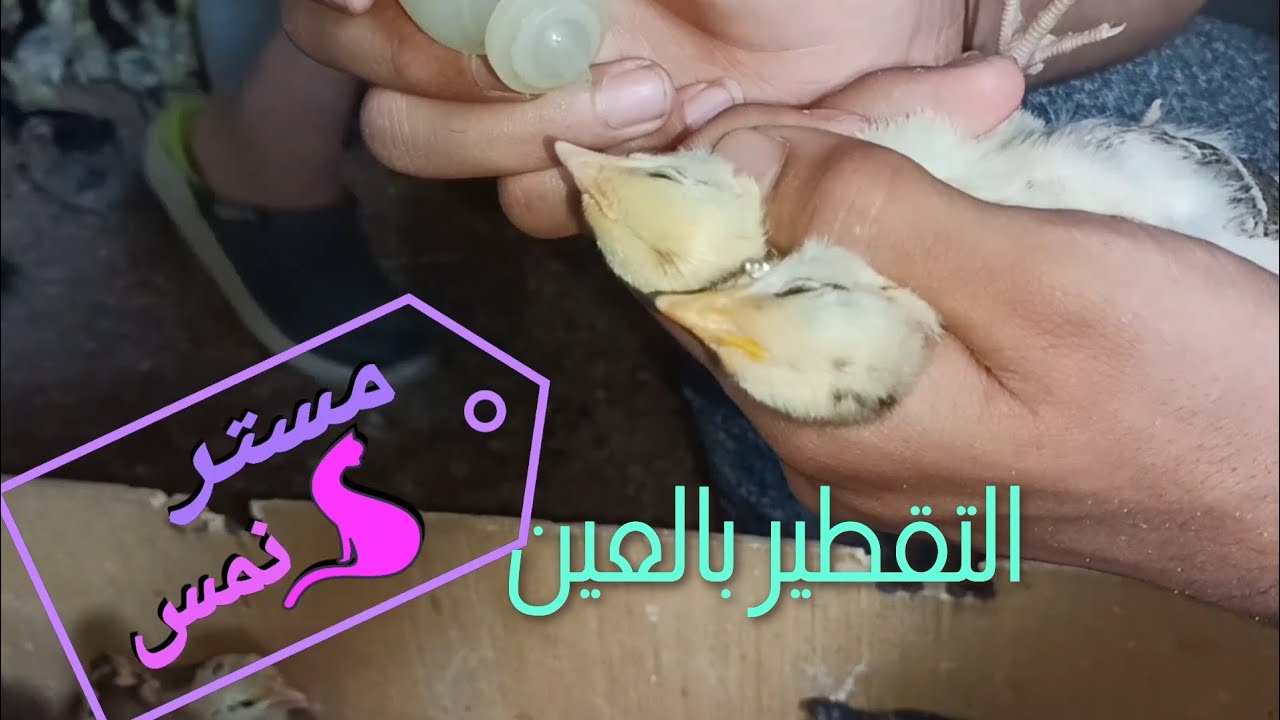 التحصين عن طريق التقطير بالعين
