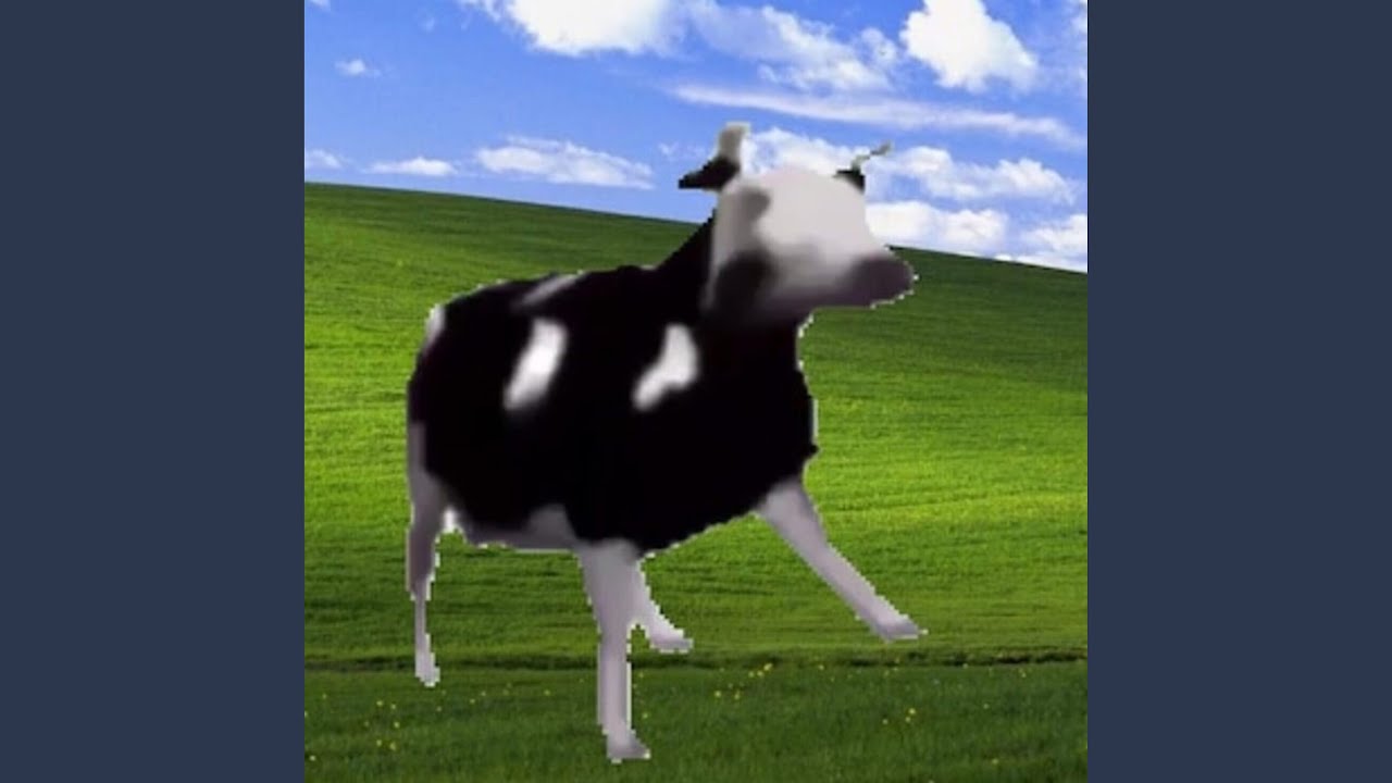 Dancing Polish Cow