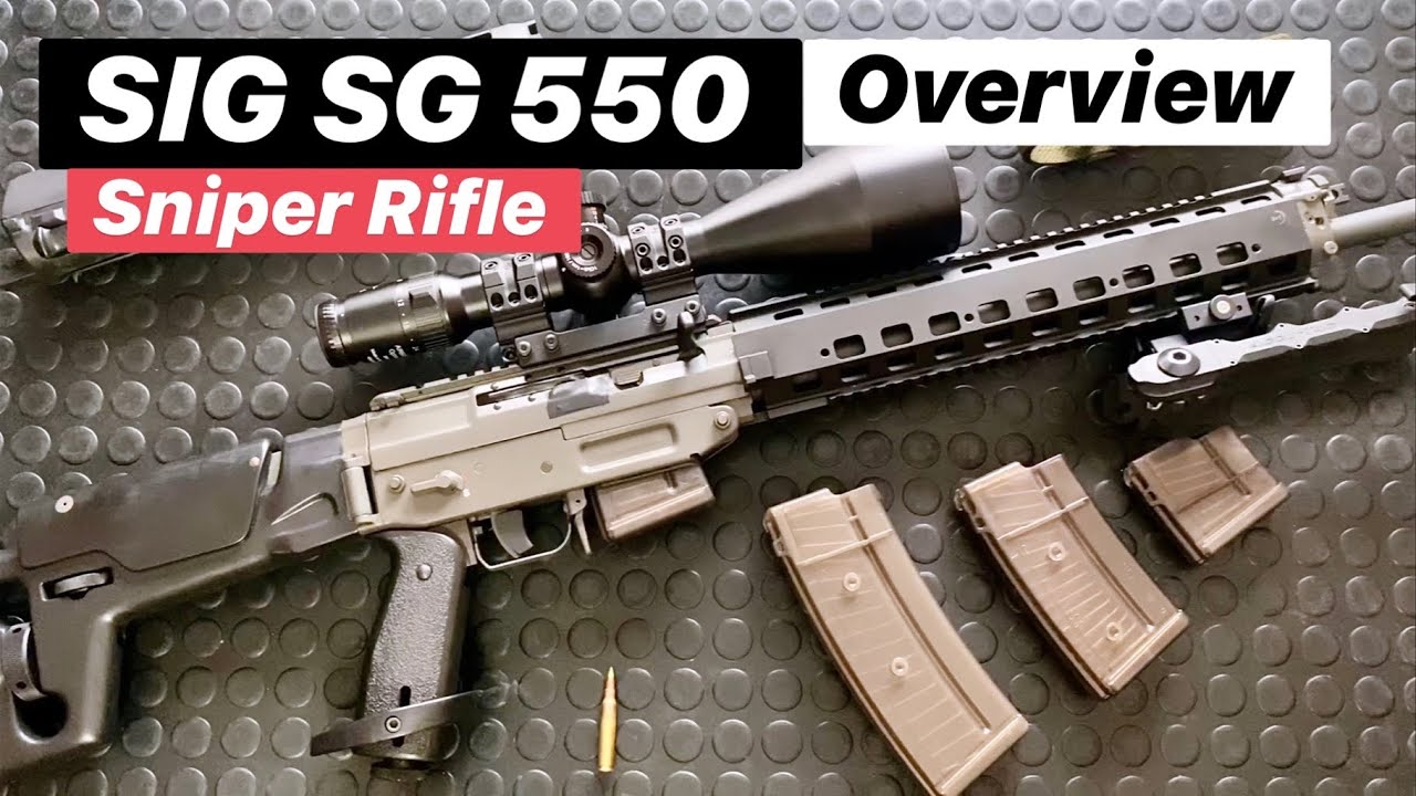 SIG Sniper: SG 550 Overview