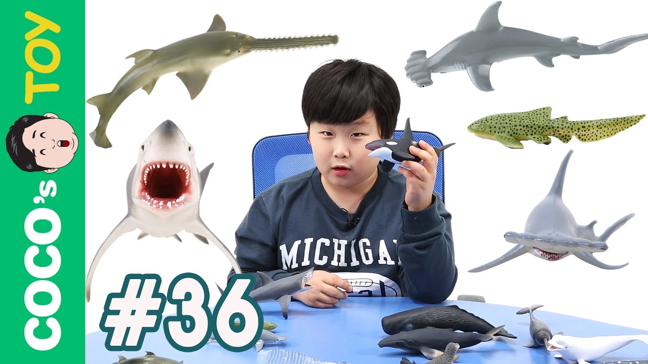 #36 상어와 고래가 싸우면 과연 누가 이길까?! 고래 및 상어 이름 맞추기, 어린이 교육ㅣ꼬꼬스토이